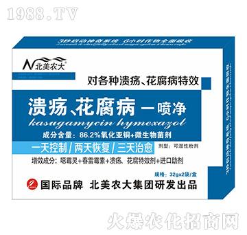 ������������һ����-�����r(n��ng)��