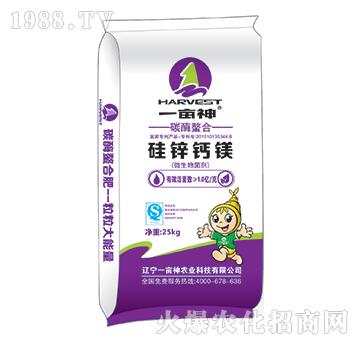 ̼ø���Ϲ��\�}�V-һ����