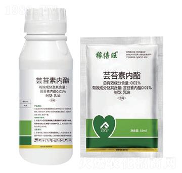 �|̦�؃�(n��i)��-������-�����r(n��ng)