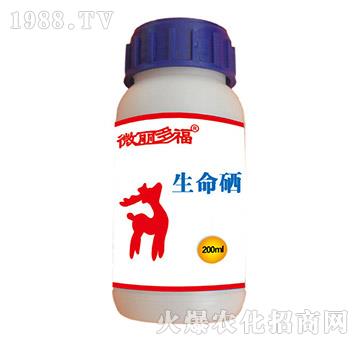 ������-΢���ร