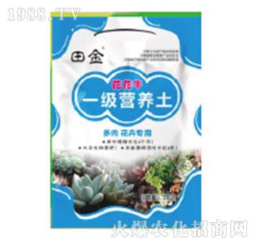 һ��(j��)�I�B(y��ng)��-����ţ-�������