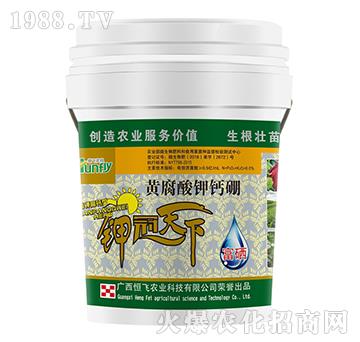 �S������}��-���w�r�I(y��)