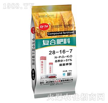 ������͏ͺϷ���28-16-7-���