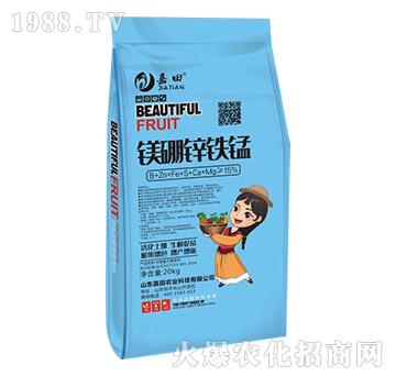 �V���\�F�i-�����r(n��ng)�I(y��)