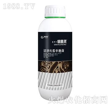 �ӝɼt�نΰ���-�����`-̩����