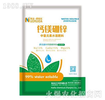 �}�V���\-�Z�J�_-��������