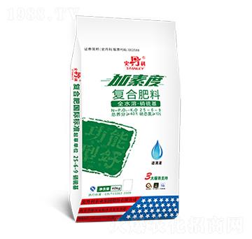 �ͺϷ���25-6-9-���ض�-ʷ����