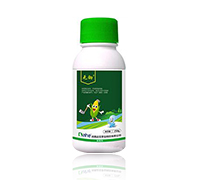 ���׳��݄�-�o�z