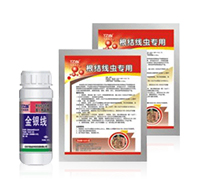 ���y��-���Y(ji��)���x(ch��ng)����