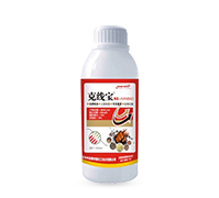 �˾������Y(ji��)���x(ch��ng)��Чˎ