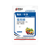 5%������-���x(ch��ng)һ���