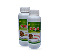 �B���Ը��Y(ji��)���x(ch��ng)����-������