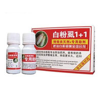 ��x(ch��ng)��-�׷�ʭ����