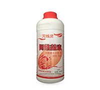 �����Y(ji��)���x(ch��ng)��Ч���羀�`