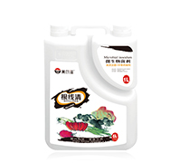 ������-���Y(ji��)���x(ch��ng)�ѽ℩