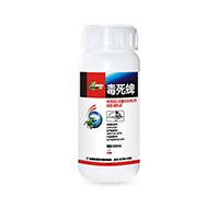 ������΢�鄩