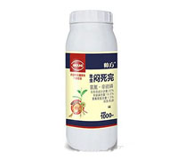 ���x(ch��ng)������-����