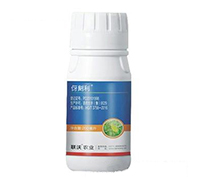 �������x(ch��ng)����