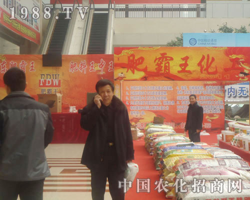 ɽ�|�ʰ��� ����������