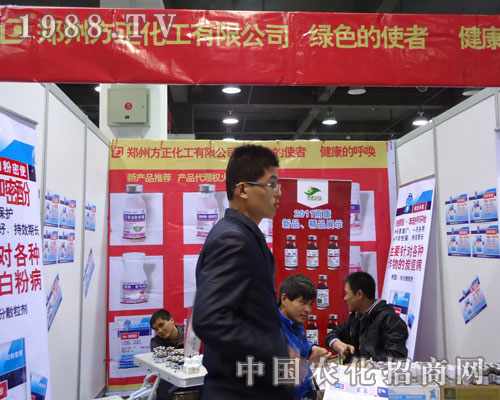 ���ݷ��������ںӱ�ʡֲ��������������