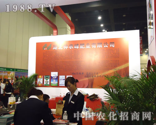 �ӱ����r(n��ng)��ʘI(y��)�����ݷ����p����¡��������