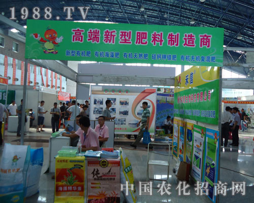 ���š����߶����ͷ��ϵ�������