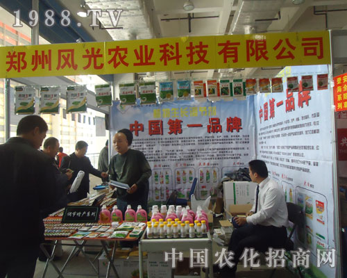 �挦2011ɽ�|ֲ���������L���r�I(y��)�M������