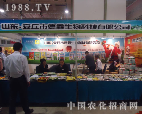 �����е���������ϏS����S�̹��Aƽ�_