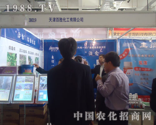 ɽ�|�r(n��ng)�Y��(hu��)�����لٻ����A��һƬ��