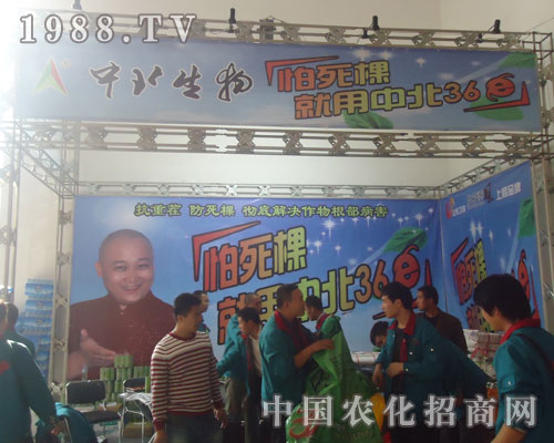 �������������б�36E