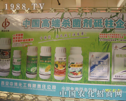 �����в����������Ї��߶˚��x��������I(y��)