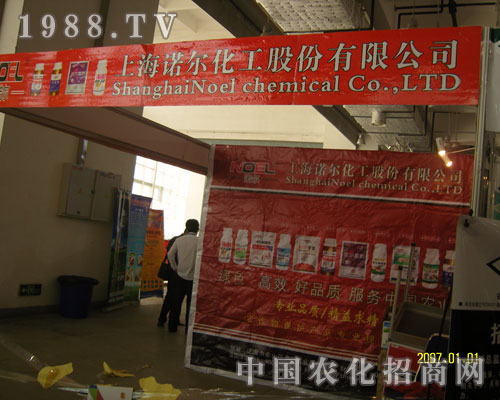 �Ϻ��Z����������ɽ�|ʡֲ�������_