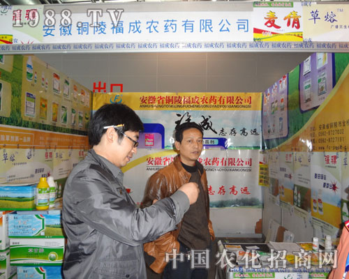 �~�긣���r(n��ng)ˎ���ϺϷ��r(n��ng)�Y���ו������_