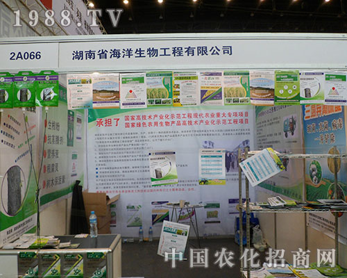 ���������ݰ���ā�����2012��ֲ�����ו�