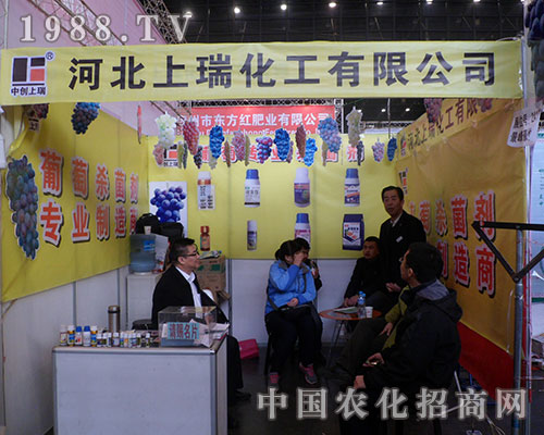 ���𻯹����F(xi��n)�ڵ�28�ú���ֲ������