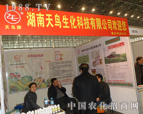 ���������B(ni��o)���Ї�(gu��)ֲ���p����(hu��)չ�L(f��ng)��