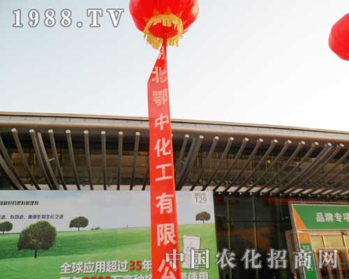 �������л����F����12���½��r����