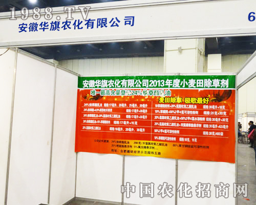 �����A����16�������r(n��ng)ˎչ��չʾ���µ���I(y��)����