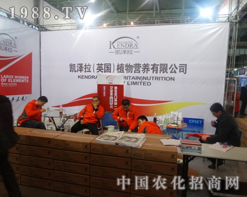 Ӣ���P���������29���Ͼ�ֲ����