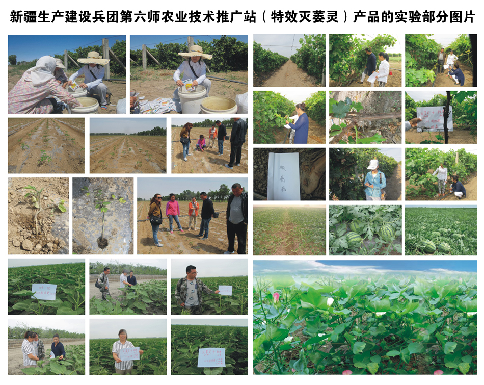 �½����a(ch��n)���O(sh��)���F(tu��n)�������r(n��ng)�I(y��)���g(sh��)�ƏVվ���a(ch��n)Ʒ�Č�(sh��)�(y��n)���ֈDƬ