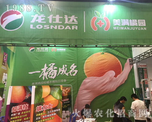 �����_����