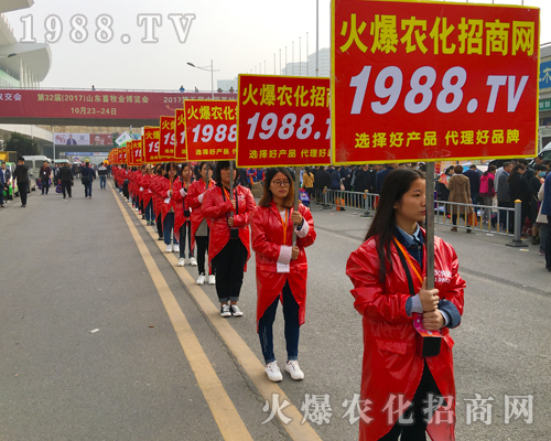 ʮ�����ʮ��������2017��ɽ�|ֲ���������r���W(w��ng)���ʳ�����