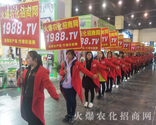 2017����Ϸ����p������1988.TV�����»���