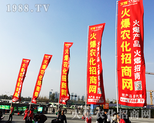 ����ʮ�Č�ȫ��ֲ���������r(n��ng)�����̾W(w��ng)�L(f��ng)��ȫ����