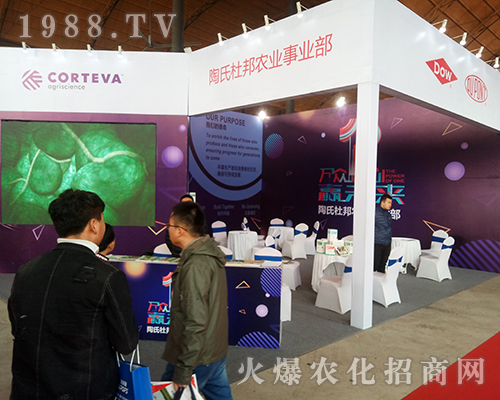 ���϶Ű���2018��29�úӱ�ֲ���p������������