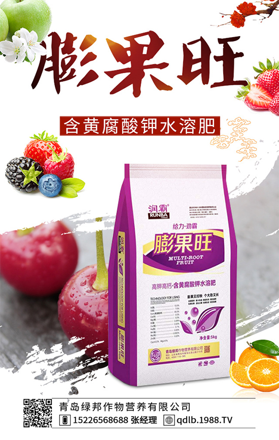 ���{(l��n)ܛ��������Щ�Y����F(xi��n)������ΰl(f��)���������{(l��n)ܛ�����A(y��)����ʩ