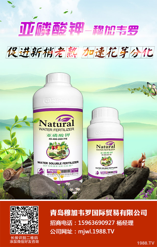 ���{(l��n)ܛ��������Щ�Y����F(xi��n)������ΰl(f��)���������{(l��n)ܛ�����A(y��)����ʩ