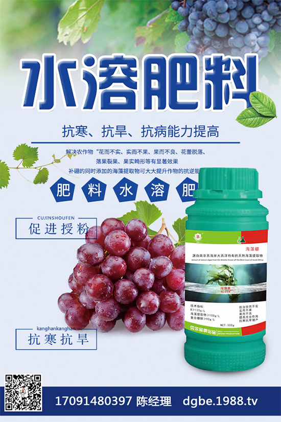 ���{(l��n)�ڰ߲�Σ���@ô��������ԓ��η��Σ������������