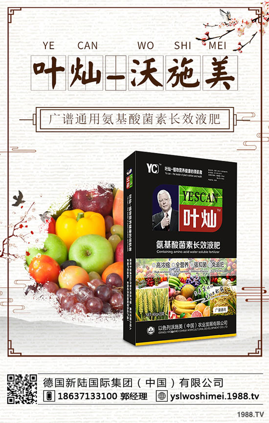 ��С����ʲô���F(xi��n)�S������������С���S����������δ�ʩ��