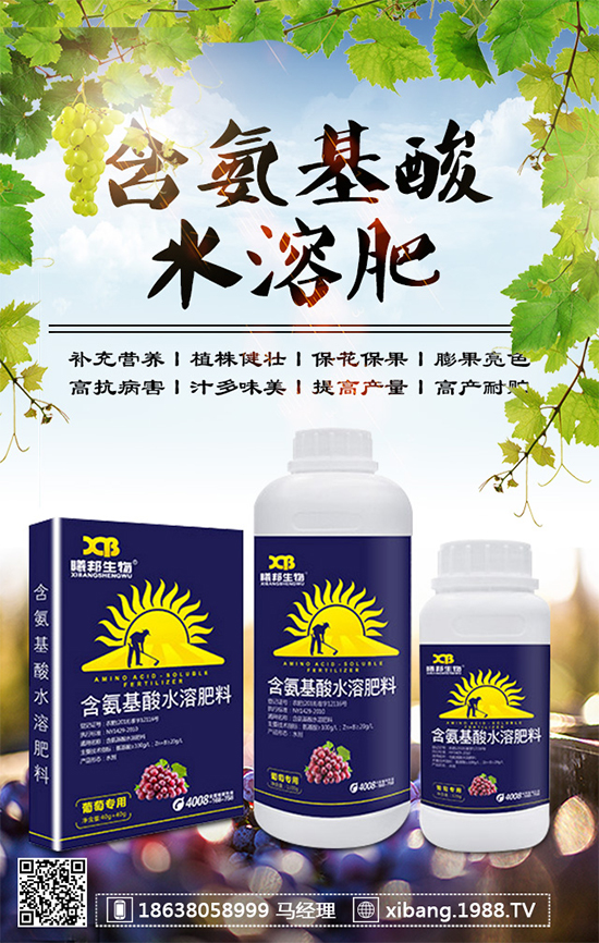 ���[��Ҋ��������Щ�����[���x�����μ��g��ȫ